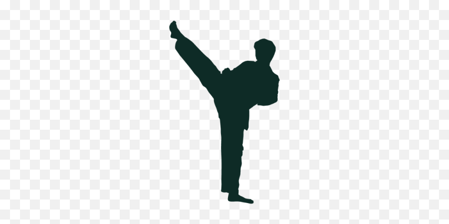 Karate Png And Vectors For Free Download - Transparent Martial Arts Png Emoji,Emoji Karate Kid