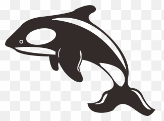 Dolphin Killer whale Toothed Black and white - dolphin Whale Clipart Emoji