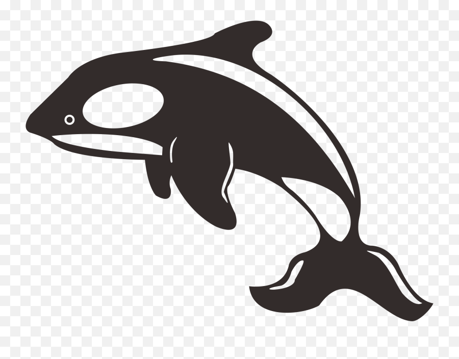Dolphin Killer Whale Toothed Whale Black And White - Dolphin Killer Whale Clipart Emoji,Free And Whale Emoji