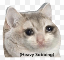 Pedaleando - Heavy Breathing Meme Emoji