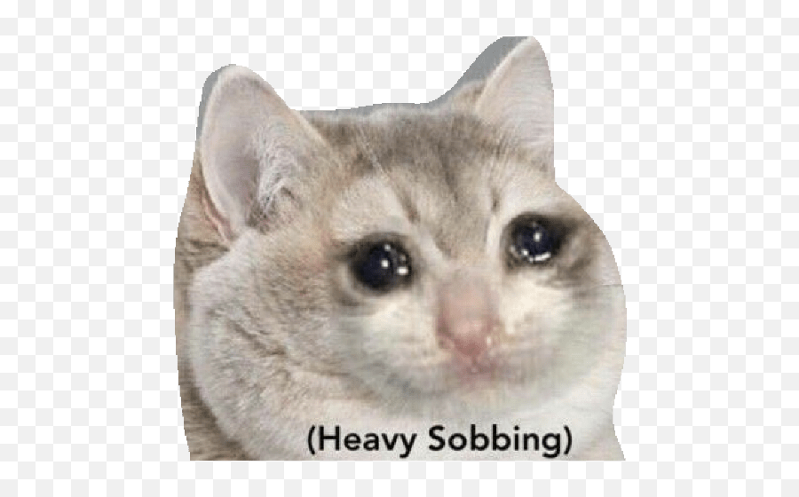 Pedaleando - Heavy Breathing Meme Emoji,Sad Cat Emoji