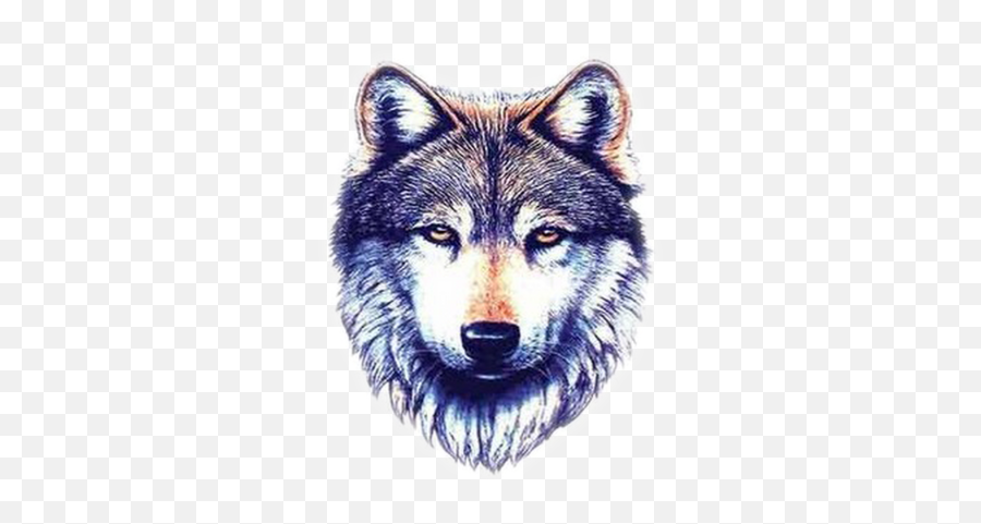 Latest Wolf Tattoo Designs White Images - 6342 Transparentpng Transparent Background Wolf Head Png Emoji,Wolf Emoji Png
