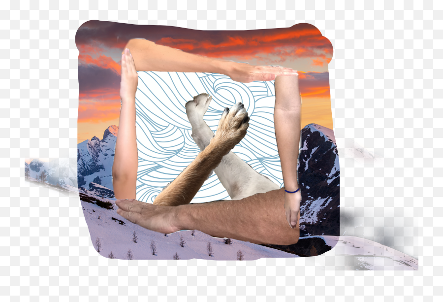 Picframe Arms - Throw Pillow Emoji,Lion Emoji Pillow