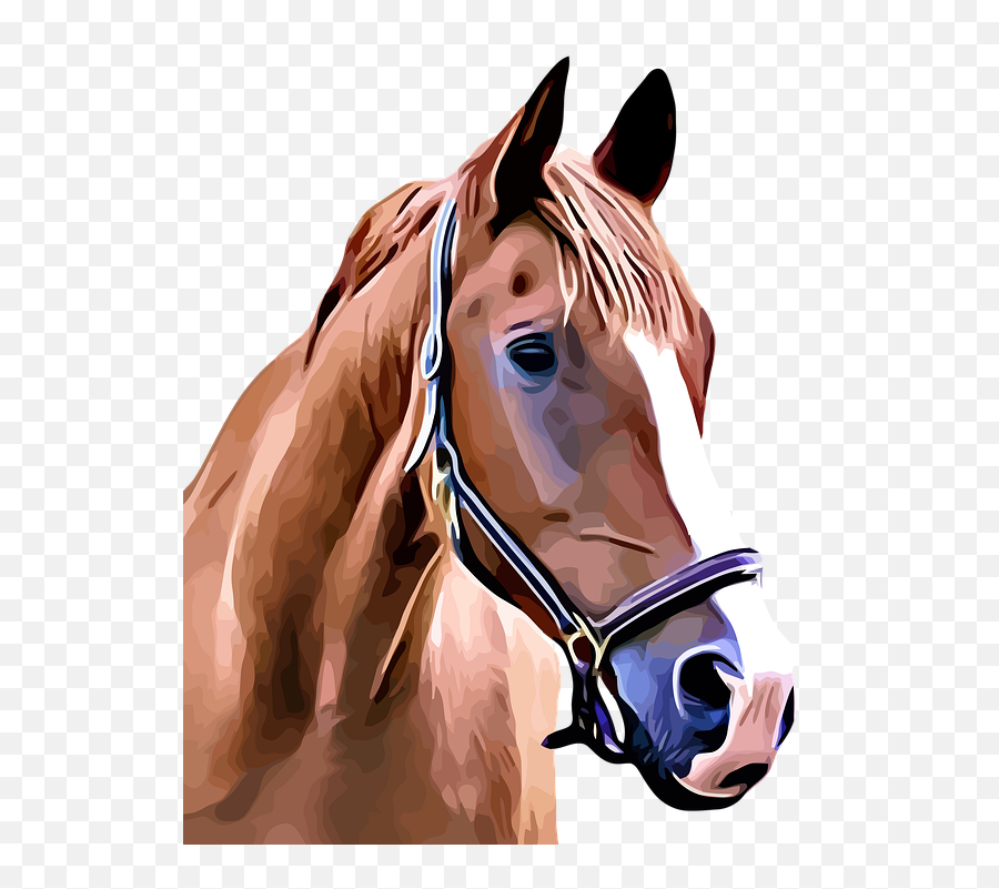 Horse Brown Portrait - Horse Design Png Emoji,Night Horse Emoji