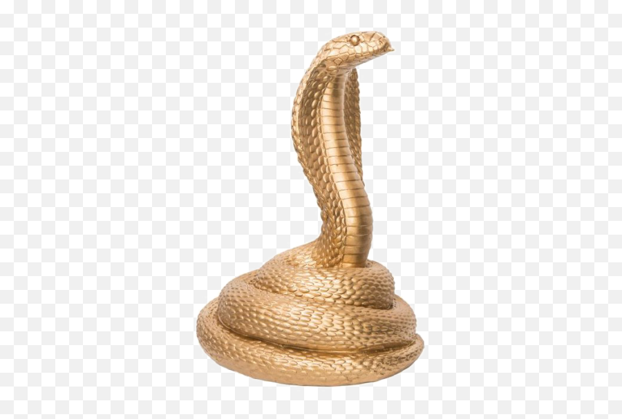 Serpent Png And Vectors For Free Download - Dlpngcom Golden Cobra Snake Png Emoji,Snake Emoji Png