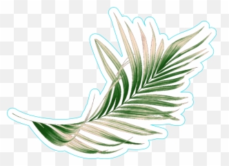 Green Palm Leaf Sticker - Illustration Clipart Full Size Transparent Sticker Aesthetic Leaves Emoji,Olive Branch Emoji