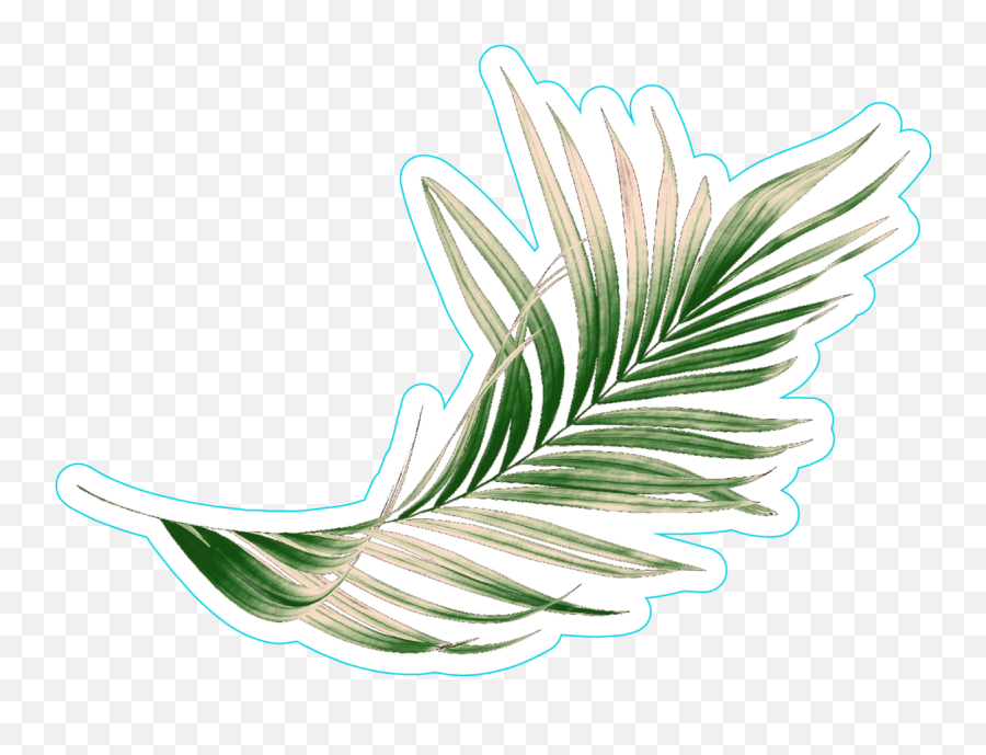 Green Palm Leaf Sticker - Illustration Clipart Full Size Transparent Sticker Aesthetic Leaves Emoji,Olive Branch Emoji
