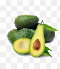 Avocado Tree Emoji