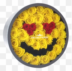 X Eyes Smiley Face Transparent Photos Download JPG PNG GIF - Garden Roses Emoji