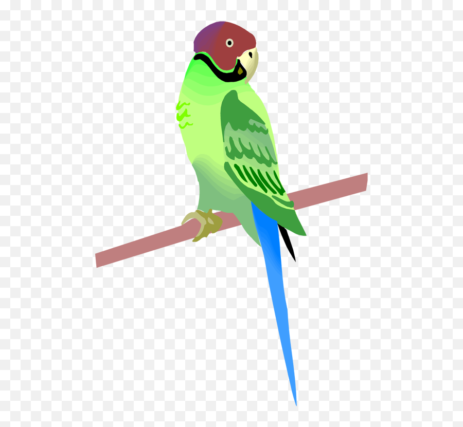 Picsart Birds Png Hd - Clip Art Library Clip Art Emoji,Parrot Emoji