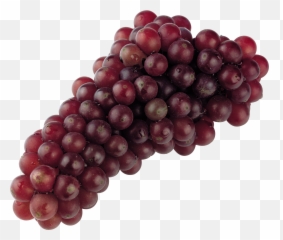 Transparent Grapes Purple Color Transparent Png Clipart - Transparent Background Red Grapes Png Emoji,Grapes Emoji