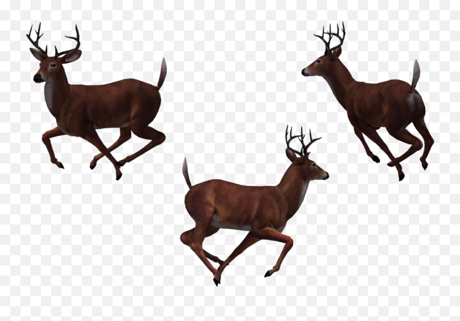 Deer Clipart Buck Deer Buck - Cartoon Group Of Deer Emoji,Buck Deer Emoji