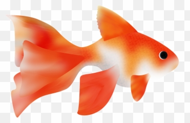 Fish Japanese Sea Ocean Fisherman - Peces Png Emoji