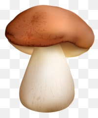 Circle Mushroom Transparent Background - Png Emoji
