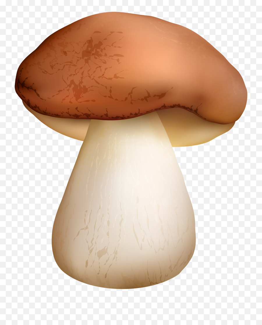 Circle Mushroom Transparent Background - Mushroom Png Emoji,Mushroom Cloud Emoji