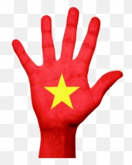 Vietnam Flag Hand Asian National - Stop Sign On Red Emoji
