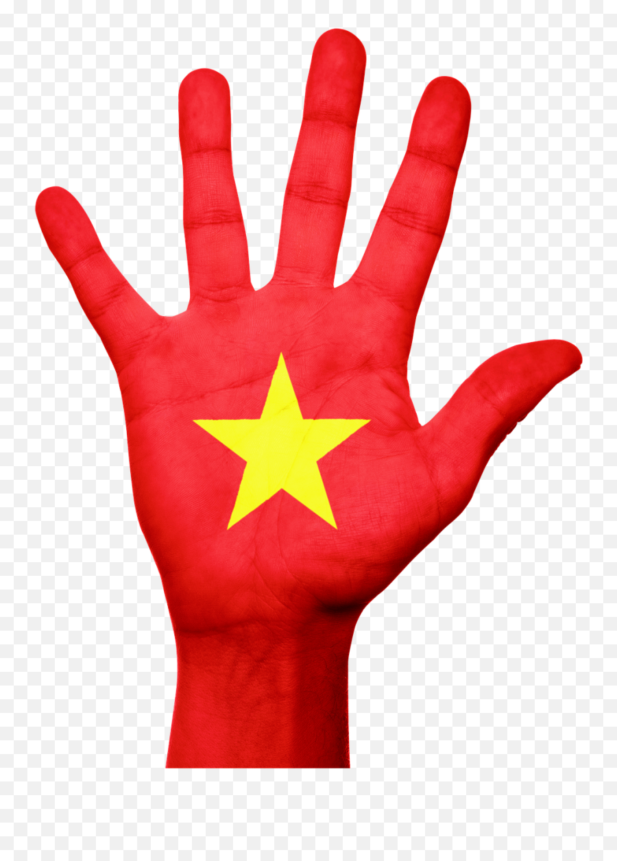 Vietnam Flag Hand Asian National - Stop Sign On Red Hand Emoji,Vietnamese Flag Emoji