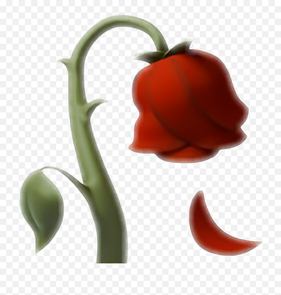 Emoji - Wilted Rose Emoji Transparent,Emoji Flower Png