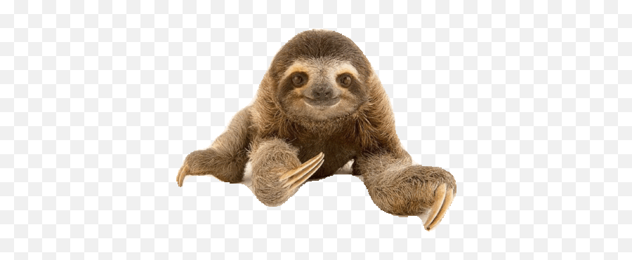 Top Disney Sloth Stickers For Android U0026 Ios Gfycat - Sloth With White Background Emoji,Sloth Emoji