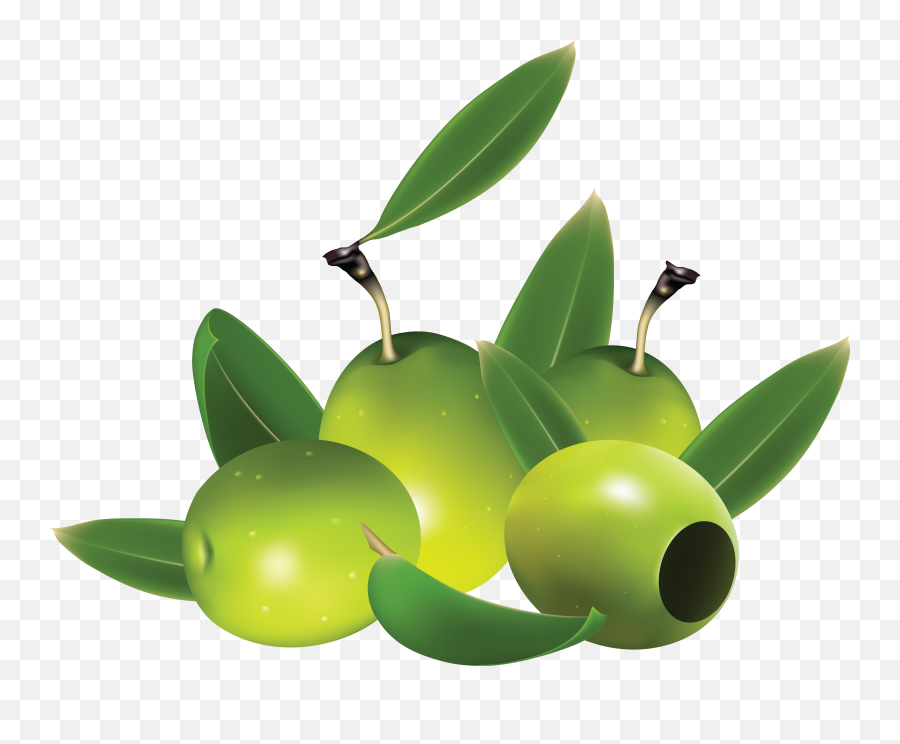 Olive Clipart Green Food Olive Green Food Transparent Free - Best Olive Oil For Body Massage In Pakistan Emoji,Olive Emoji