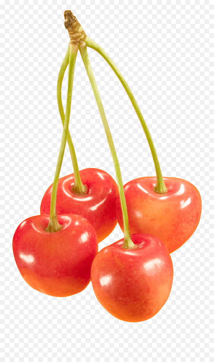 Download Cherries Png Image Hq Png - Orange Cherries Png Emoji,Cherries Emoji