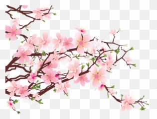 Japanese Flower Png Transparent - Cherry Blossom Tree Png Emoji,Japanese Emoji Flower