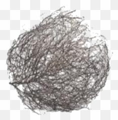 Tumbleweed Png Picture - Tumbleweed Png Emoji,Tumbleweed Emoji