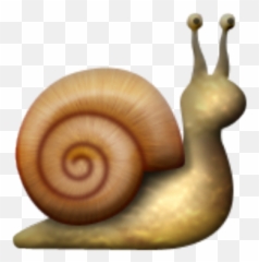 Profile Icon Emojis U2013 Seesaw Help Center - Snail Emoji Png,Spiral Emoji