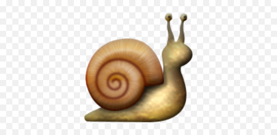 Profile Icon Emojis U2013 Seesaw Help Center - Snail Emoji Png,Spiral Emoji