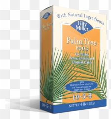 Download HD Lilly Miller Palm Tree Food 10 5 - Emoji