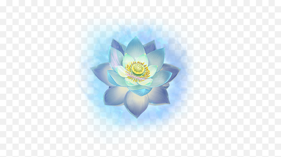 Lotus Flower Chinese Asian Ftestickers Sticker By Sammi - Nymphaea Nelumbo Emoji,Lotus Flower Emoji