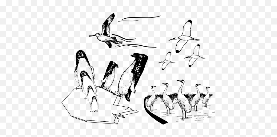 Vector Drawing Of Scene Of Many Birds - Gambar Burung Hitam Putih Emoji,Flying Pig Emoji