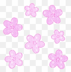 Flower - Transparent Aesthetic Gif Emoji