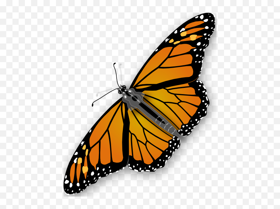 Butterfly Clip Art 107718 Free Svg Download 4 Vector - Transparent Background Butterfly Png Emoji,Butterfly Emoticon