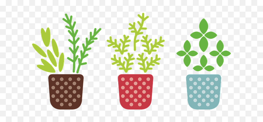 Free Pot Plant Illustrations - Herb Png Emoji,Pot Leaf Emoticon