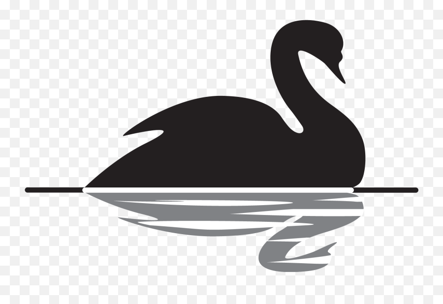 Black Swan Clipart Clipartfest 4 - Black Swan Theory Emoji,Swan Emoji