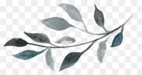 Leaves Blue Nature Green - Sticker By Marras Watercolor Black And White Leaf Emoji,Olive Branch Emoji