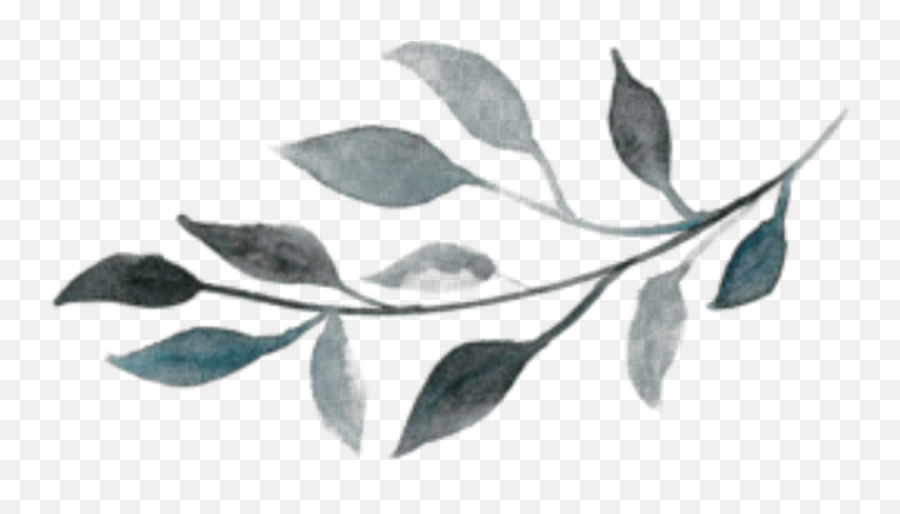 Leaves Blue Nature Green - Sticker By Marras Watercolor Black And White Leaf Emoji,Olive Branch Emoji