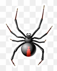 Ahmad Zange Ahmdzange Twitter - Spider Illustration Black Widow Emoji,Black Widow Emoji