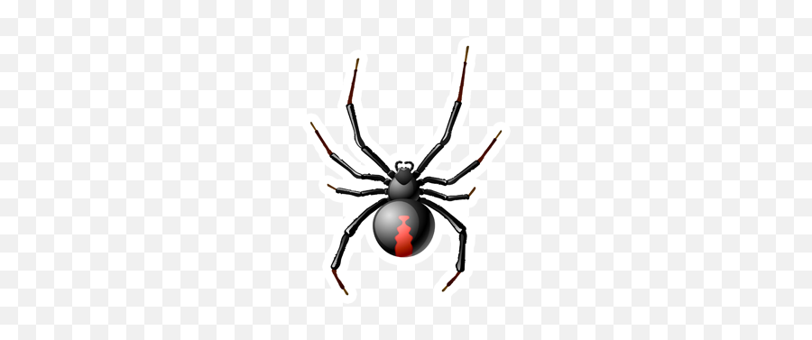 Ahmad Zange Ahmdzange Twitter - Spider Illustration Black Widow Emoji,Black Widow Emoji