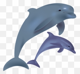 Clipart Dolphin Dolphin Animal Clipart - Dolphin Clipart Emoji,Miami Dolphins Emoji