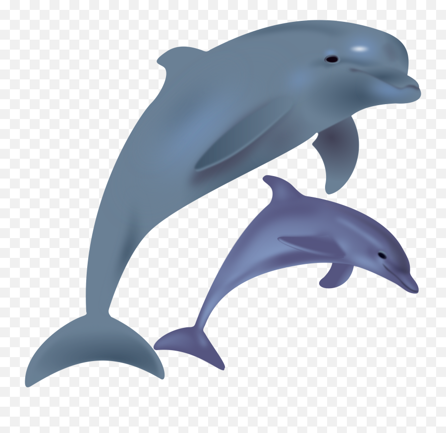 Clipart Dolphin Dolphin Animal Clipart - Dolphin Clipart Emoji,Miami Dolphins Emoji