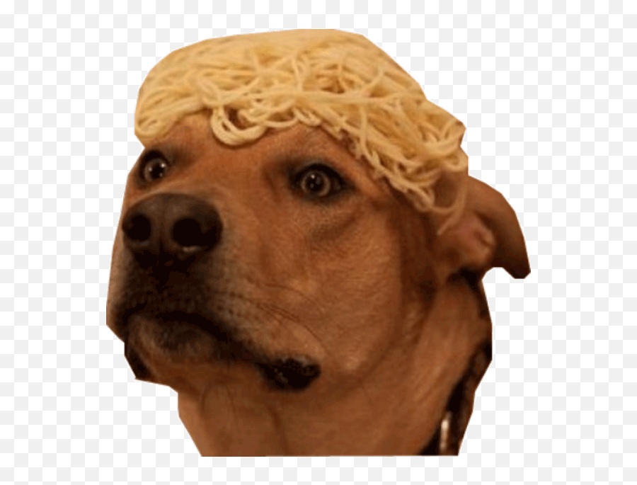 Top Wiener Dog Stickers For Android - Spaghetti Hair Emoji,Wiener Dog Emoji