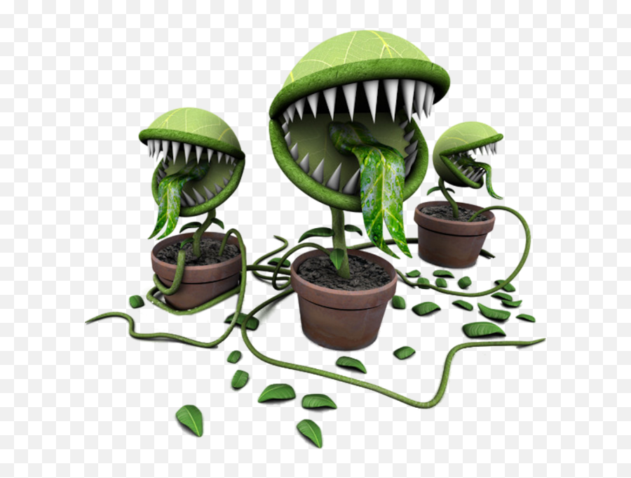 Venus Fly Traps - Poisonous Plants Names In The World Emoji,Venus Fly Trap Emoji