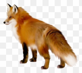 Transparent fox clipart 0 - Clipartix Fox Emoji