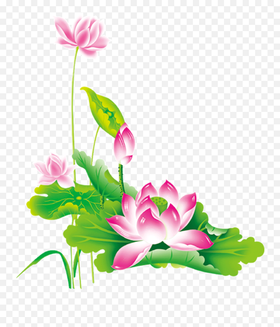 Chinese Flower Png - Lotus Clip Chinese Png Chinese Stock Flower Clipart Emoji,China Flag Emoji