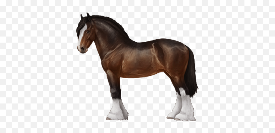 Reality Png And Vectors For Free Download - Dlpngcom Horse Reality Shire Emoji,Horse And Muscle Emoji