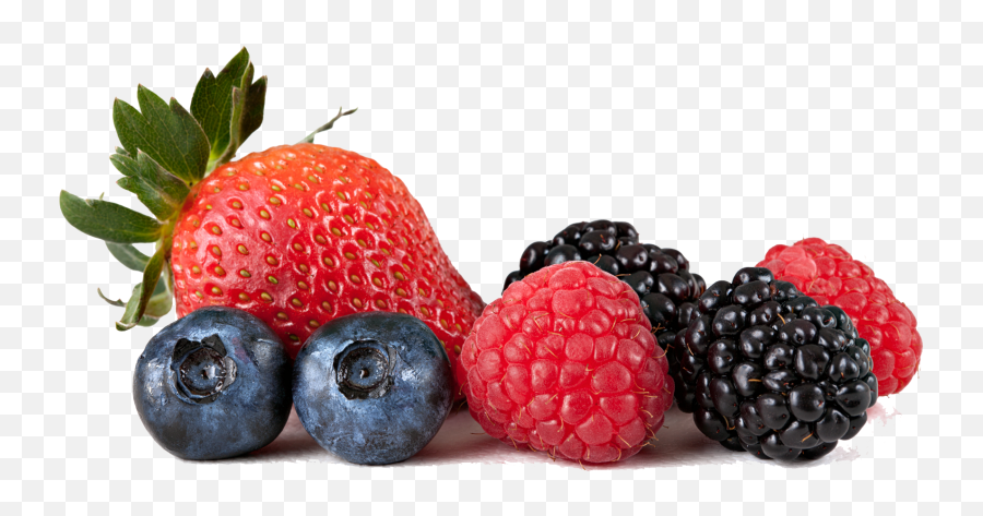 Holly Clipart Wild Berry Holly Wild Berry Transparent Free - Berries Transparent Emoji,Raspberries Emoji