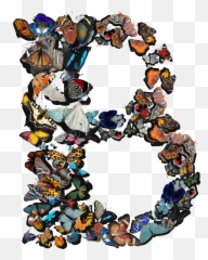 b letterb alphabet butterflies butterfly wings aestheti - Letter B With Butterfly Emoji