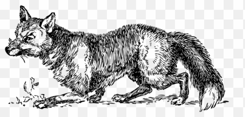 Fox Foxes Wild Canine Canid - Sly Clipart Black And White Emoji